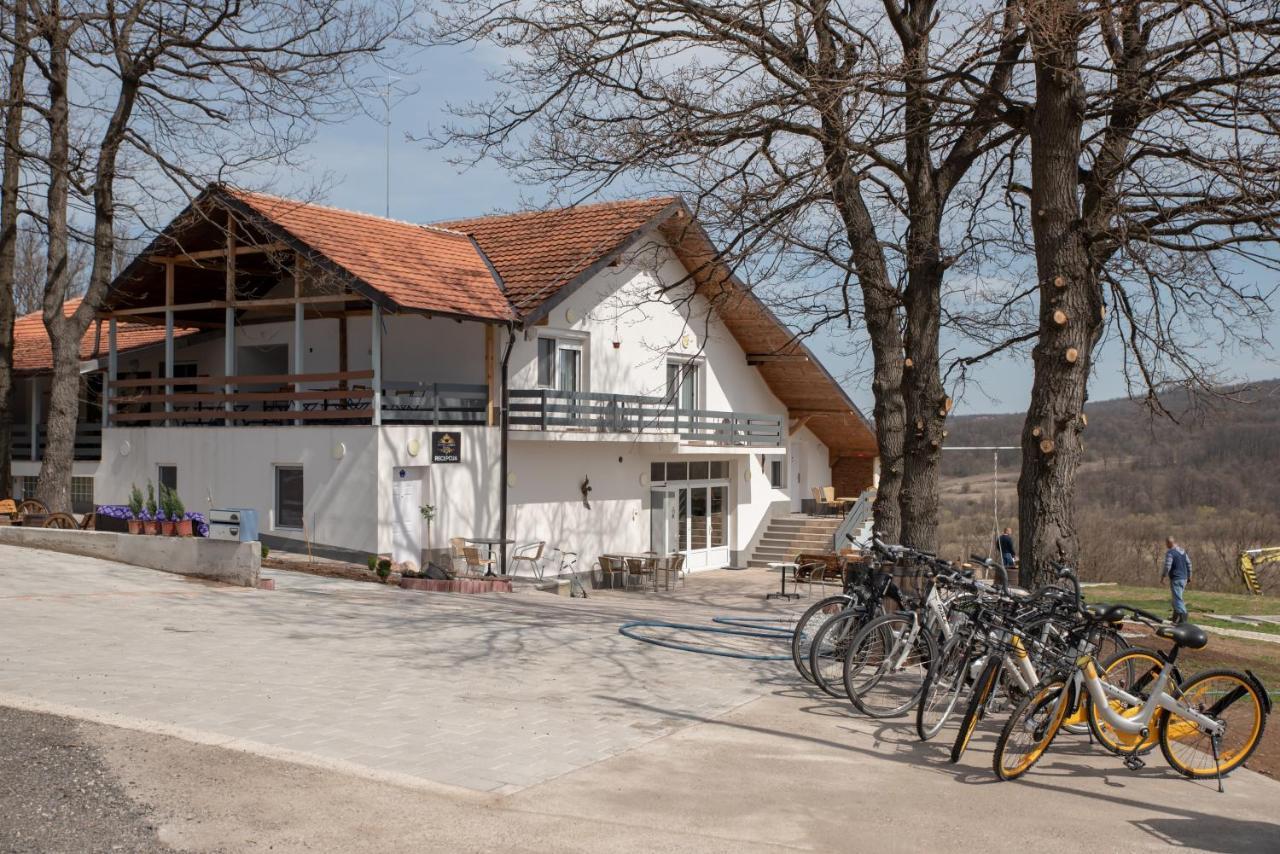 Konak Ljubica Rtanj Boljevac Exteriör bild