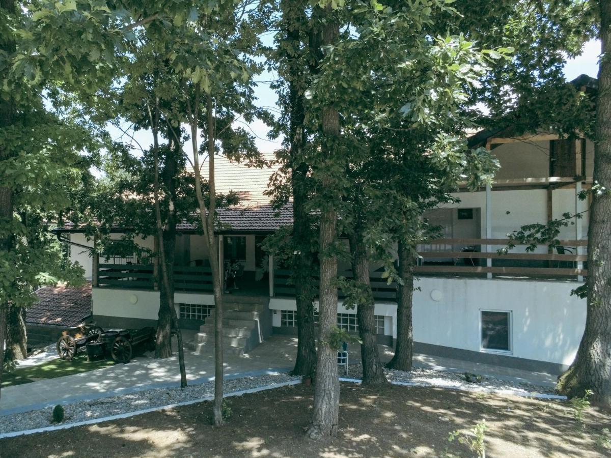 Konak Ljubica Rtanj Boljevac Exteriör bild